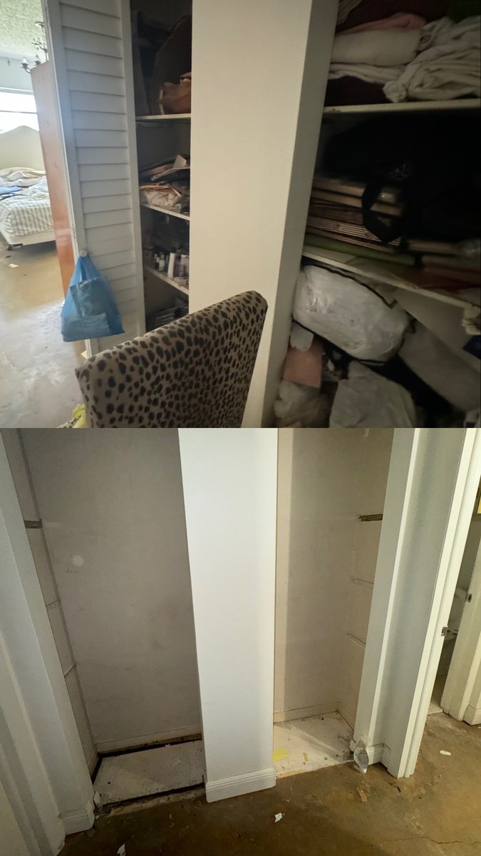 Closet cleanout - before and after